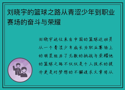 刘晓宇的篮球之路从青涩少年到职业赛场的奋斗与荣耀